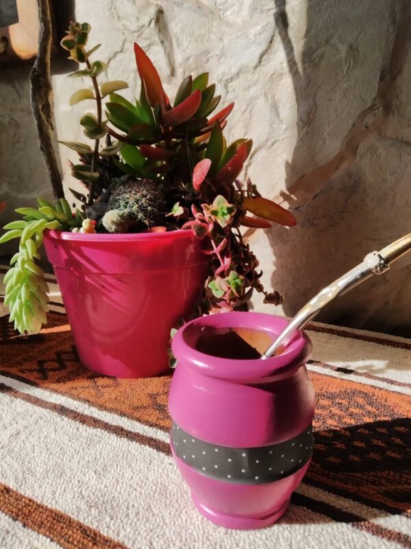 Mate Calden de color con guarda pampa - Imagen 7